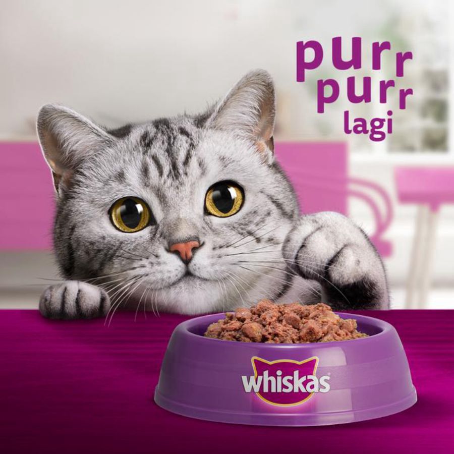 Whiskas Chicken Salmon Adult Makanan Kucing Basah 80gram