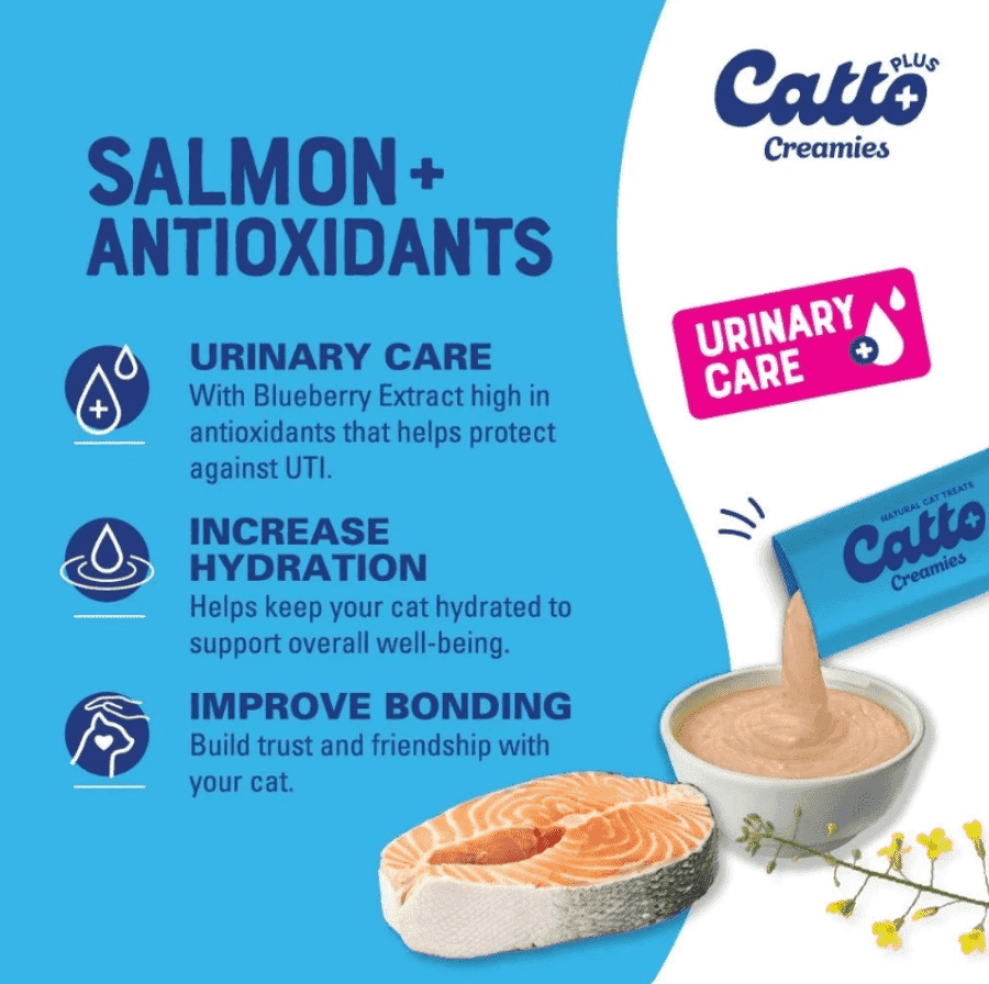 Catto Plus Creamies Salmon Urinary Care Makanan Kucing Basah 4 sachet x 15 gram 60gram