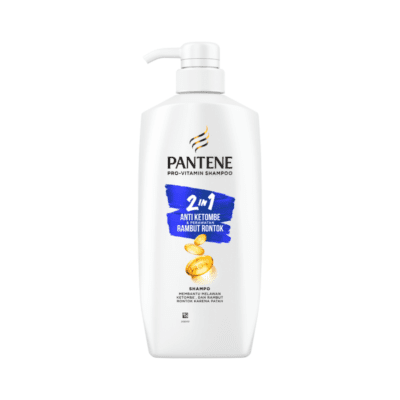 Pantene Pro-V 2in 1 Anti Ketombe & Perawatan Rontok Shampoo