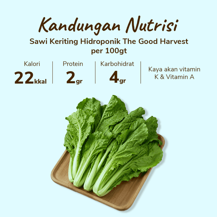 The Good Harvest Sawi Keriting Hidroponik