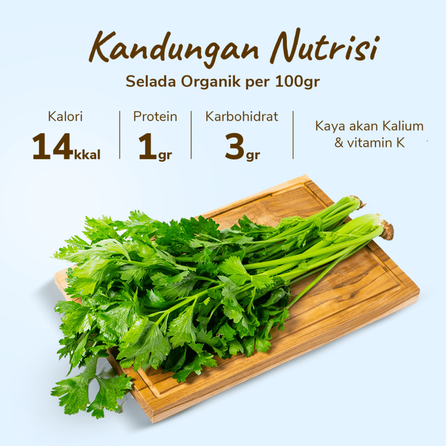 Daun Seledri Organik 200gram