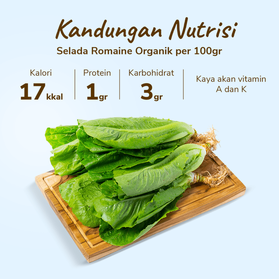 Selada Romaine Organik 250gram