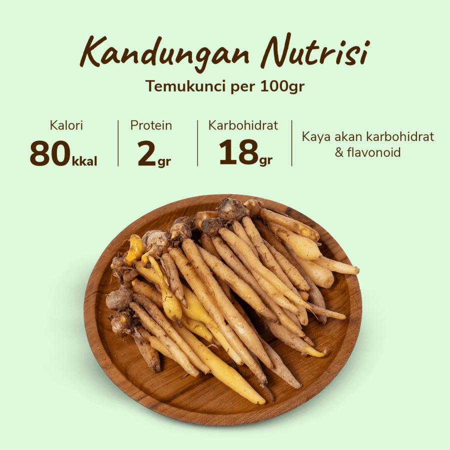 Temukunci Astro Farm 100gram