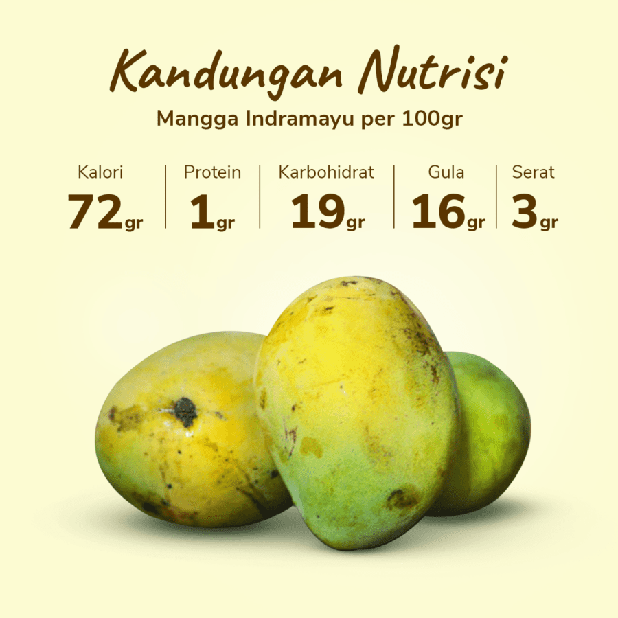 Mangga Indramayu Astro Farm 2-3 pcs