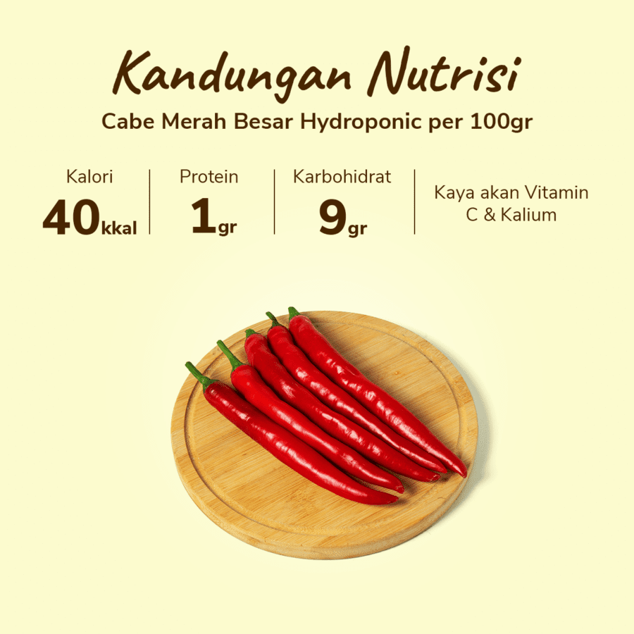 Cabe Merah Besar Hidroponik Astro Farm 100gram