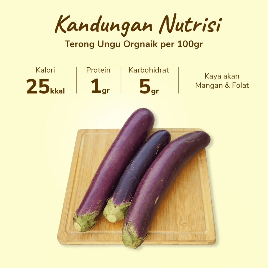 Terong Ungu Organik 500gram