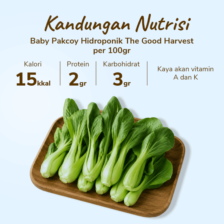 The Good Harvest Baby Pakcoy Hidroponik