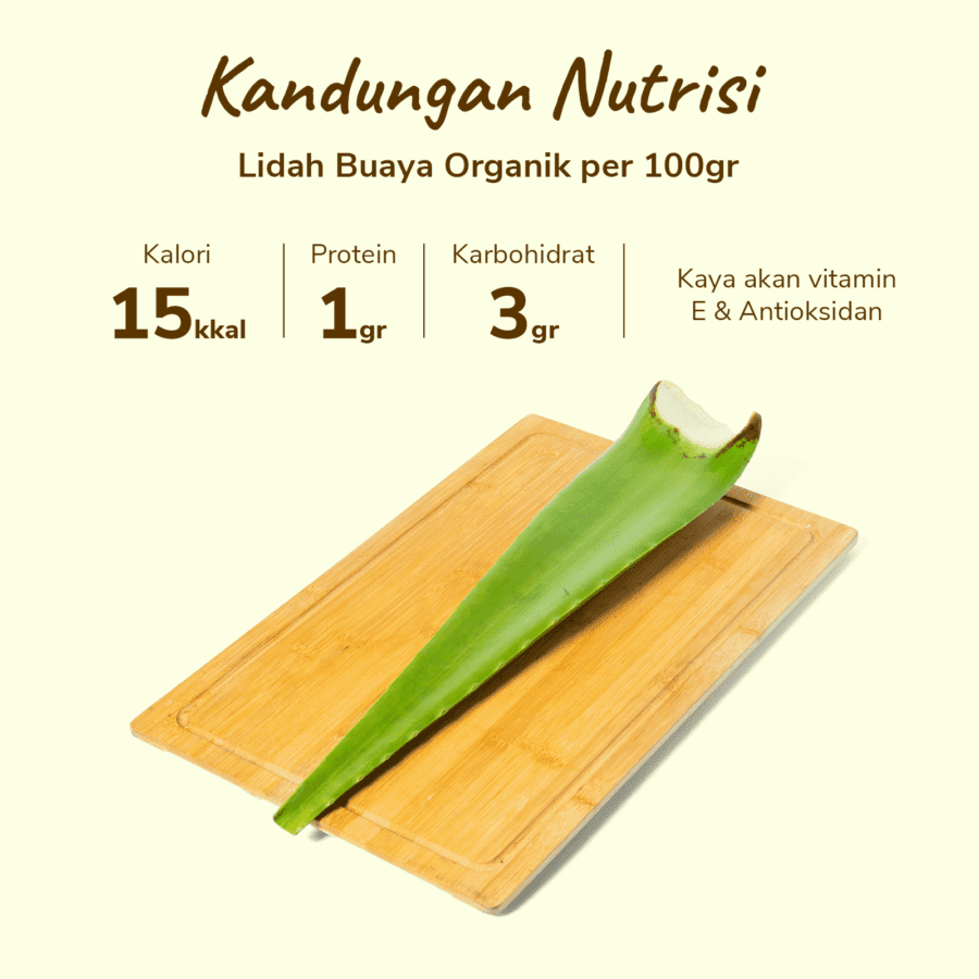Lidah Buaya Organik 400-600gram