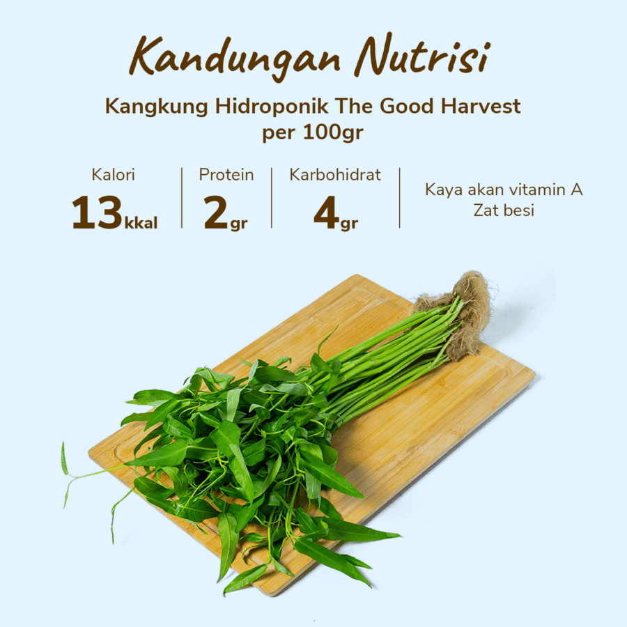 The Good Harvest Kangkung Hidroponik 250gram