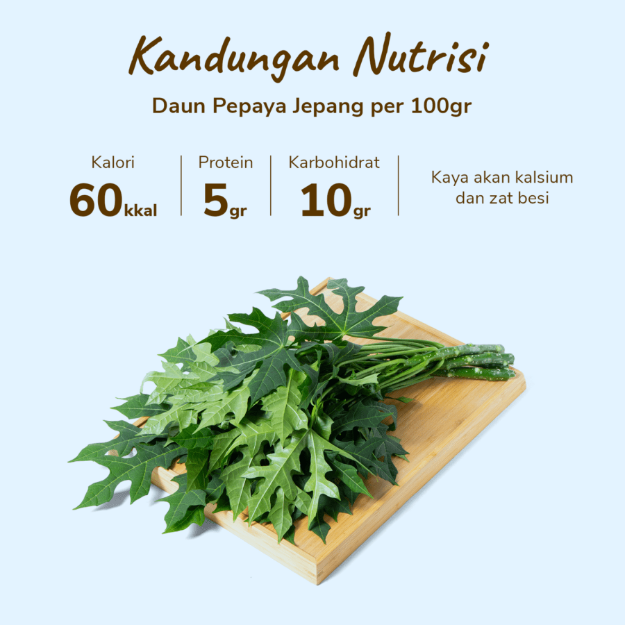 Daun Pepaya Jepang Astro Farm