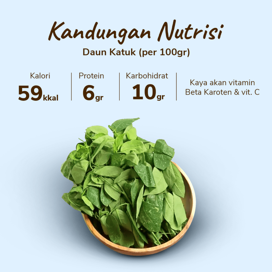 Daun Katuk Konvensional Astro Farm 200gram