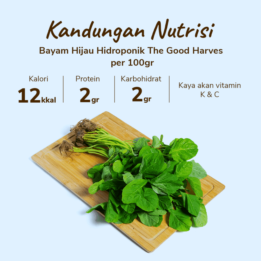 The Good Harvest Bayam Hijau Hidroponik 250gram