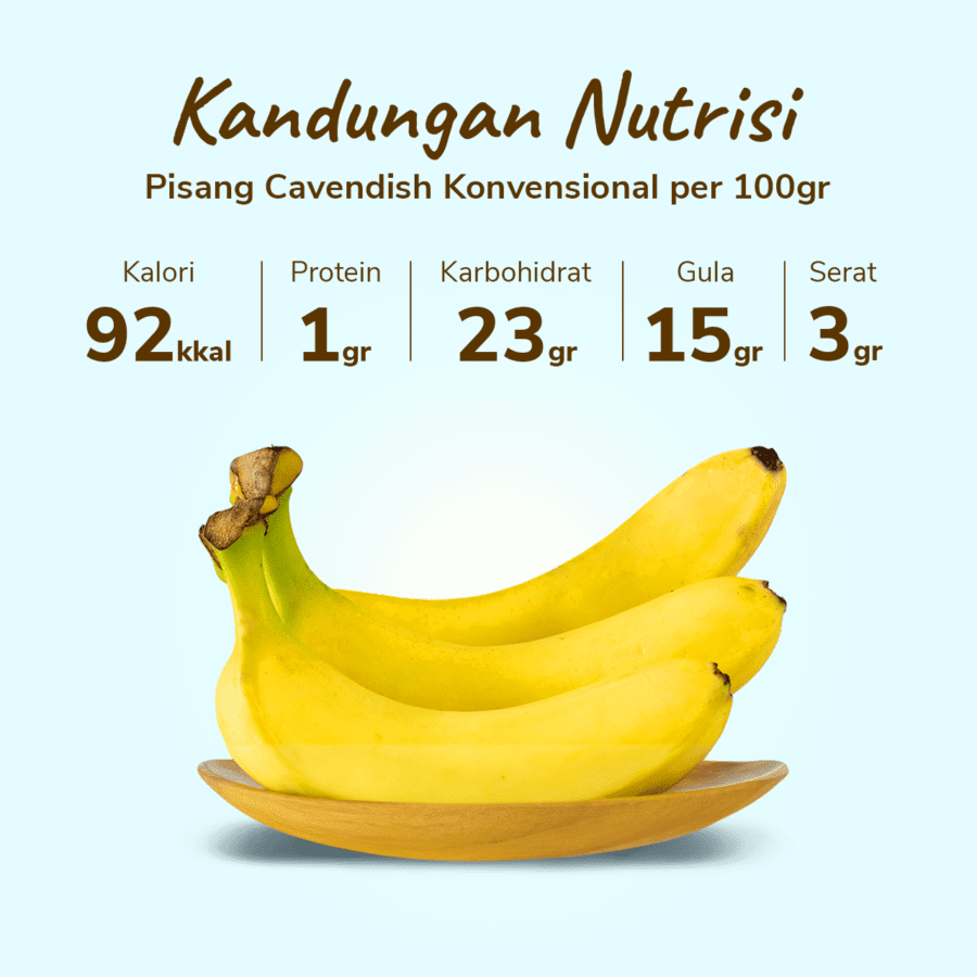 Pisang Cavendish Astro Farm 2-4 pcs 450-550gram