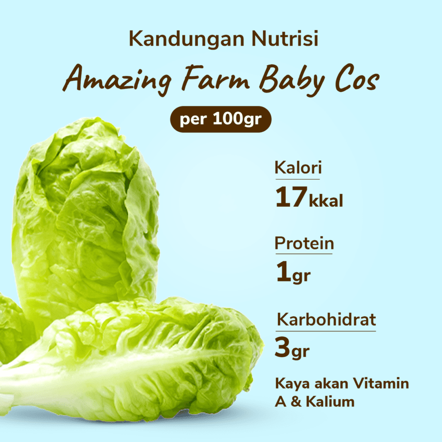 Amazing Farm Baby Cos 250gram