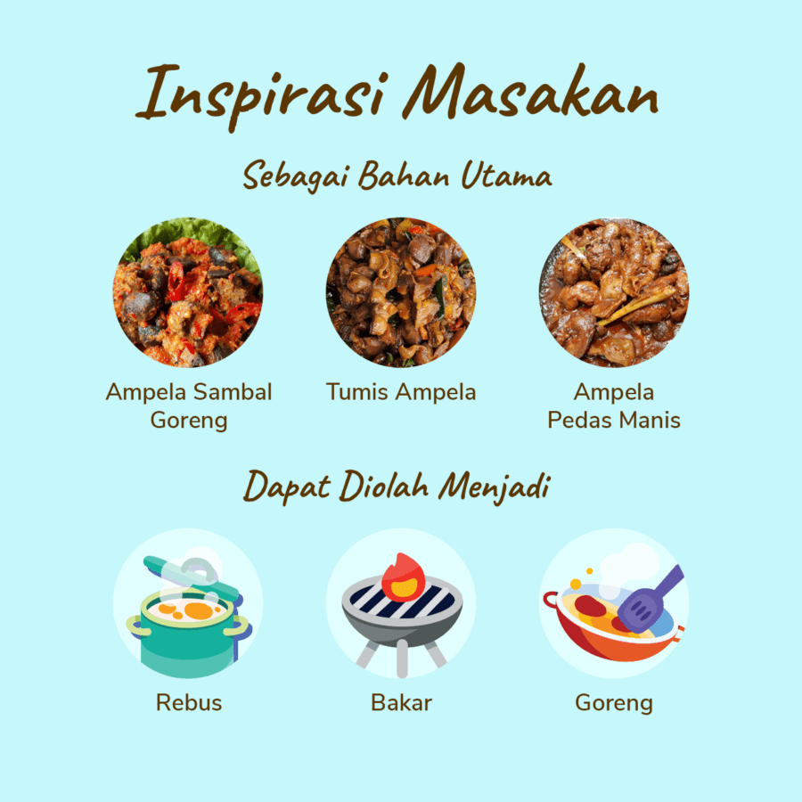 Ampela Ayam Bersih Sreeya Gizzard 450-550gram