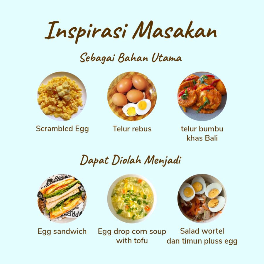 New Yolk Immunity Egg