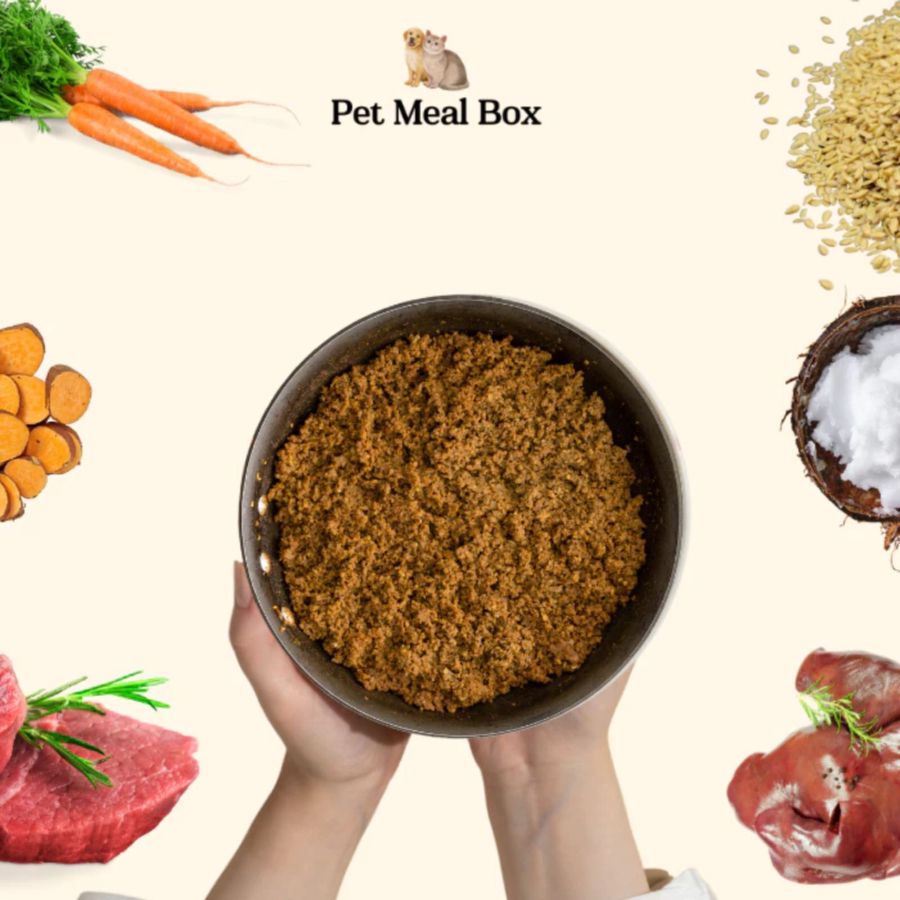 Pet Meal Box Beef Makanan Anjing Basah 500gram