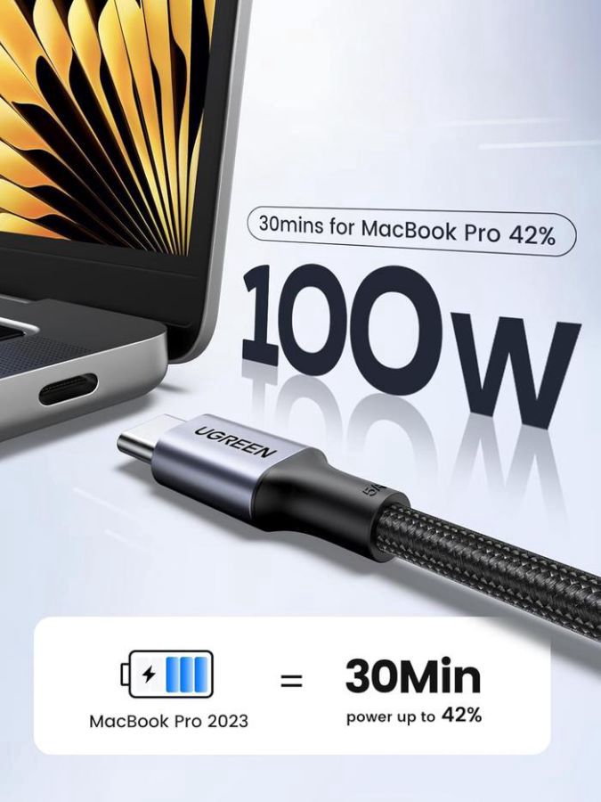 Ugreen Type C to Type C 100 Watt Black 1 Meter Cable