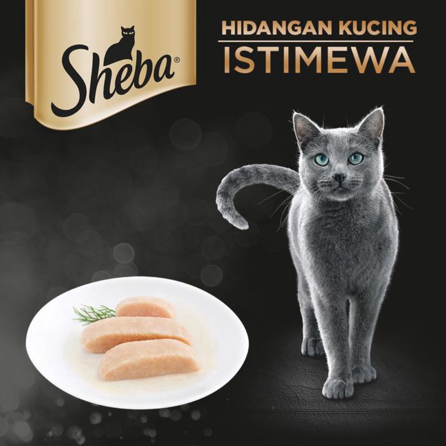 Sheba Tuna Chicken Bonito Adult Makanan Kucing Basah 70gram