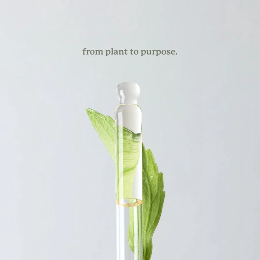Modwell Premium Liquid Stevia