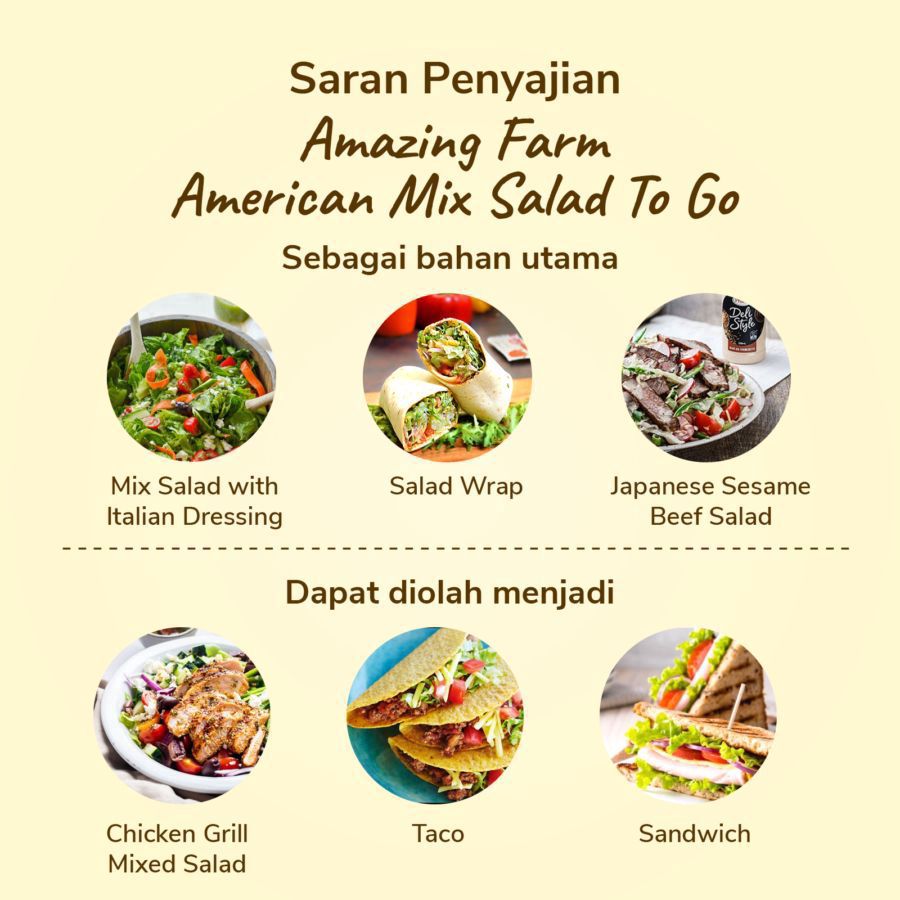 Amazing Farm American Mix Salad To Go 150gram