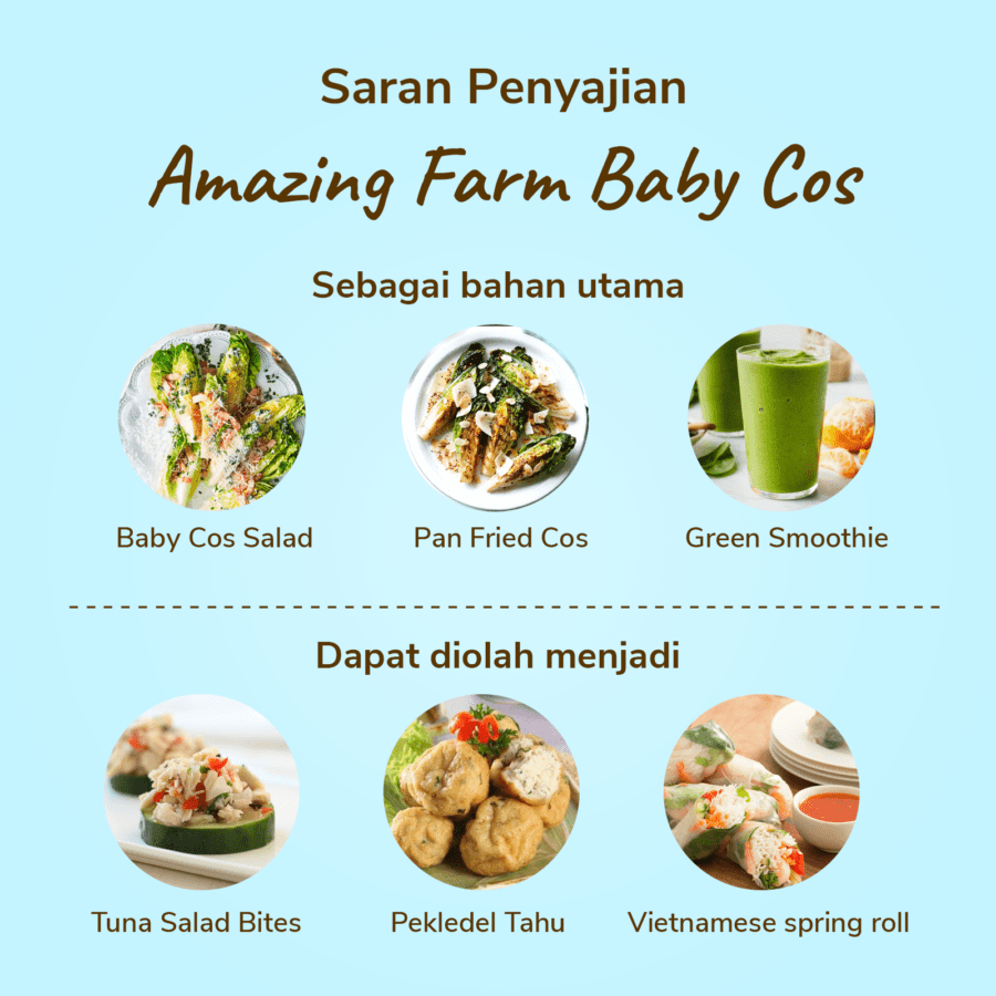 Amazing Farm Baby Cos 250gram