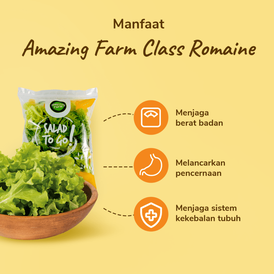 Amazing Farm Class Romaine Salad To Go 150gram