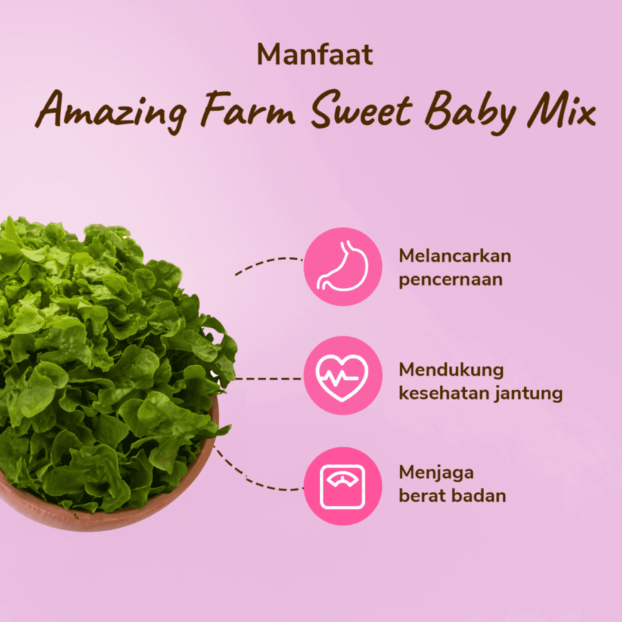 Amazing Farm Sweet Baby Mix Salad To Go 150gram