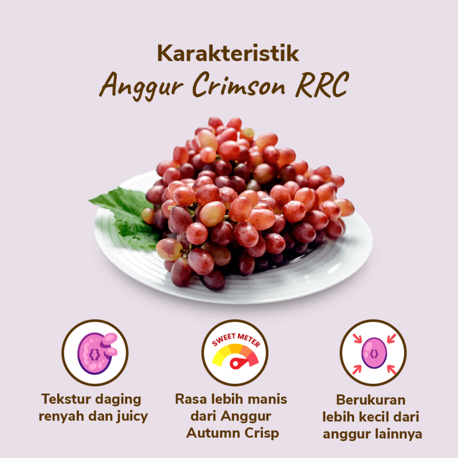 Anggur Crimson Less Seed Astro Farm 450-500gram