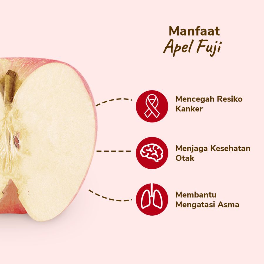 Apel Fuji Astro Farm 5-6 pcs 950-1100gram
