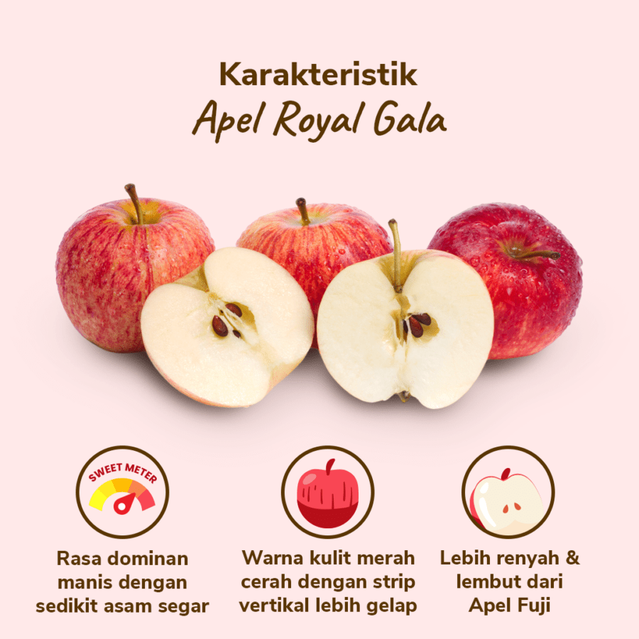 Apel Royal Gala Astro Farm 3-4 pcs 450-550gram