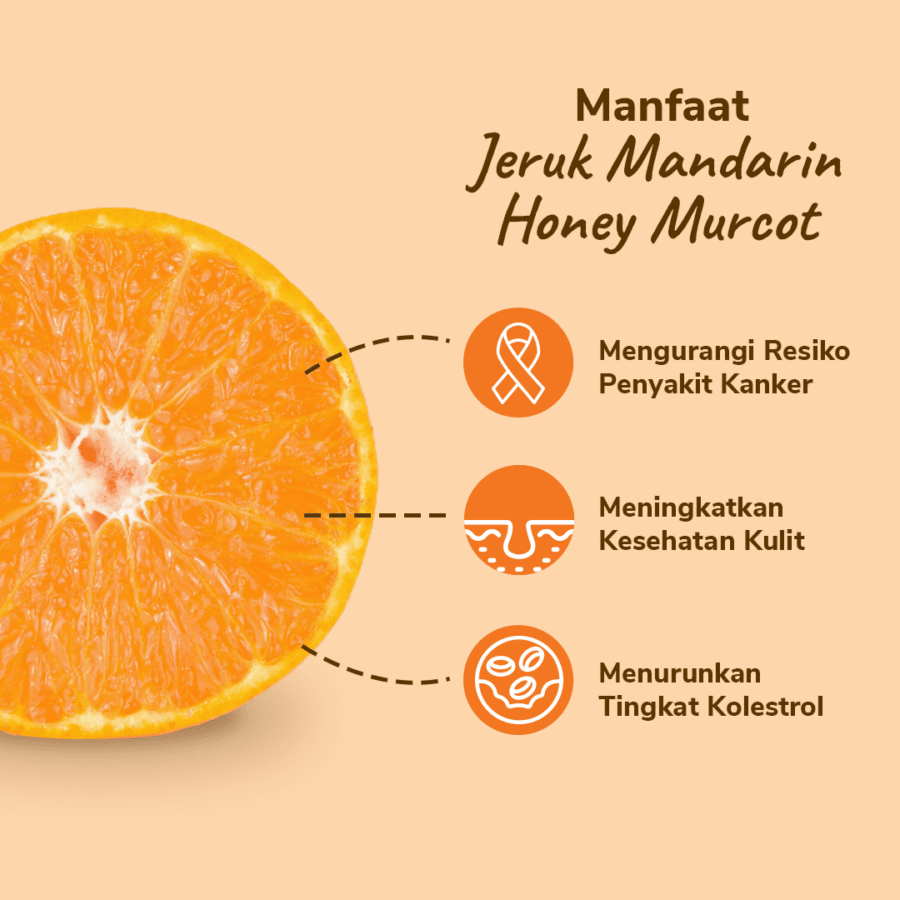 Jeruk Mandarin Honey Murcot Less Seed Astro Farm 5-9 pcs 800-900gram