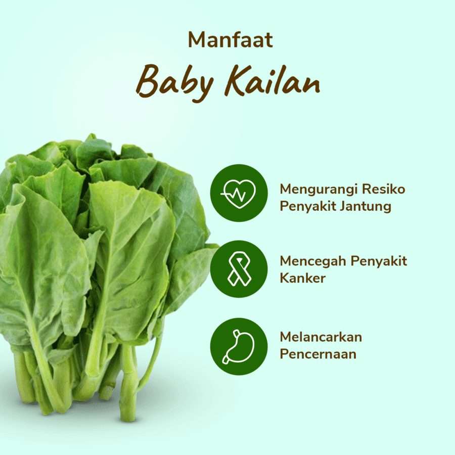 Baby Kailan Astro Farm