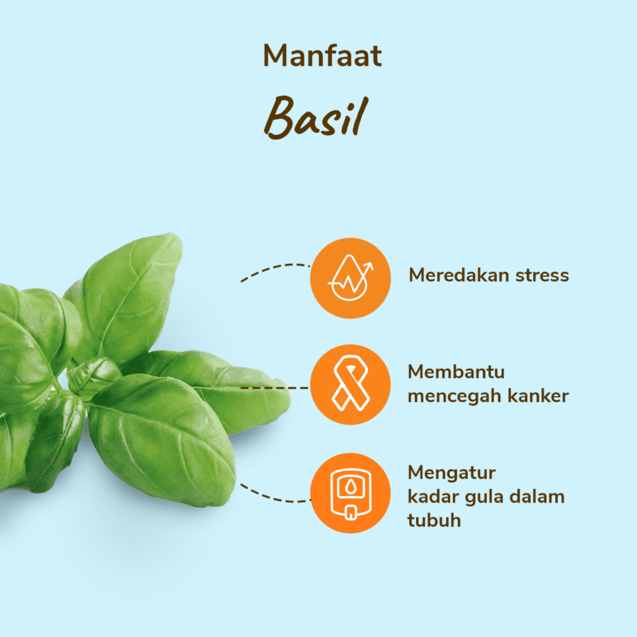 Basil Astro Goods 50gram