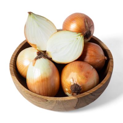 Bawang Bombay Ekonomis Astro Farm