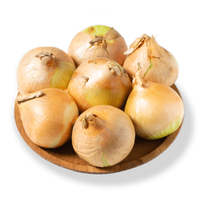 Bawang Bombay Ekonomis Astro Farm