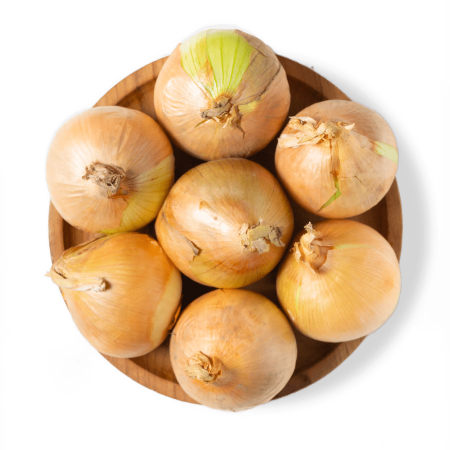Bawang Bombay Ekonomis Astro Farm 900-1100gram
