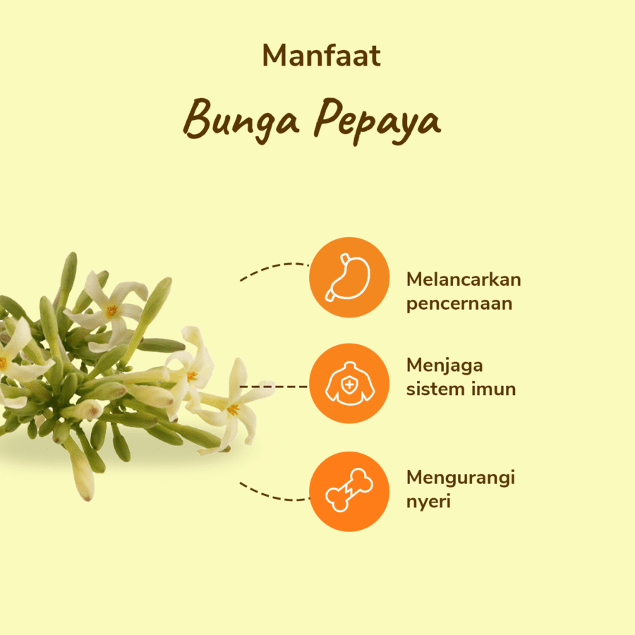 Bunga Pepaya Astro Farm 250gram