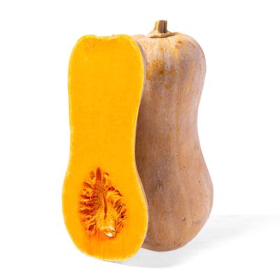 Labu Butternut Organik