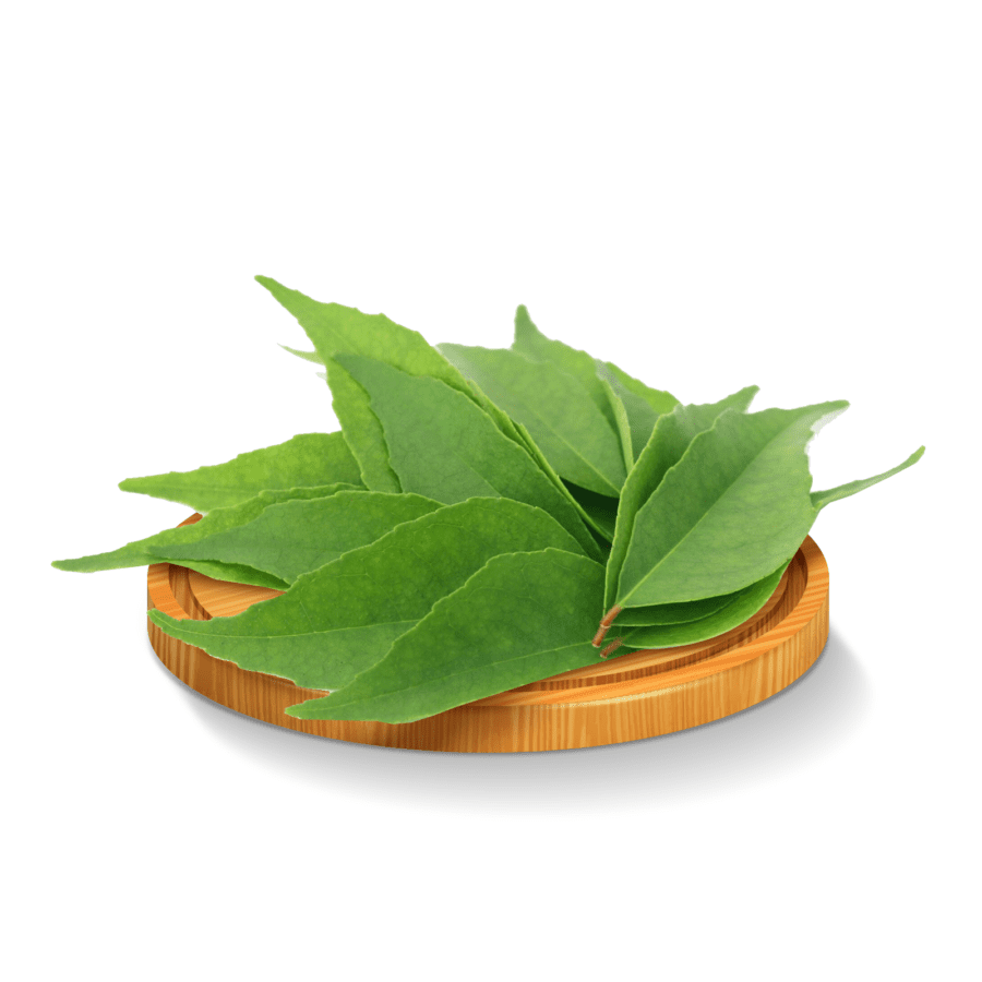 Daun Kari Astro Farm 15gram