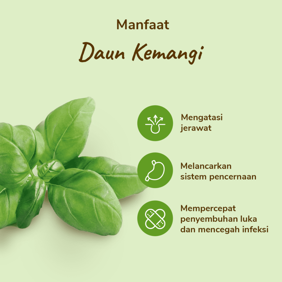 Daun Kemangi Astro Farm 150gram