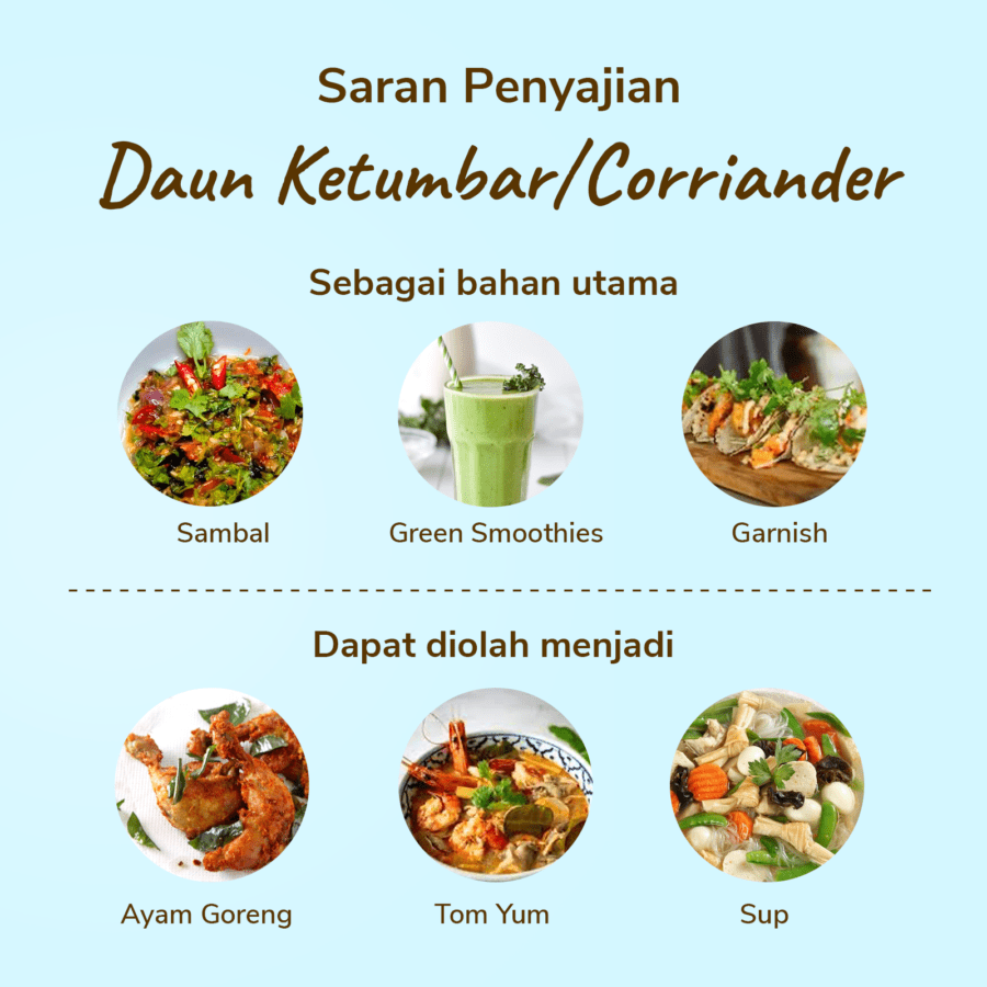 Daun Ketumbar Astro Farm 50gram
