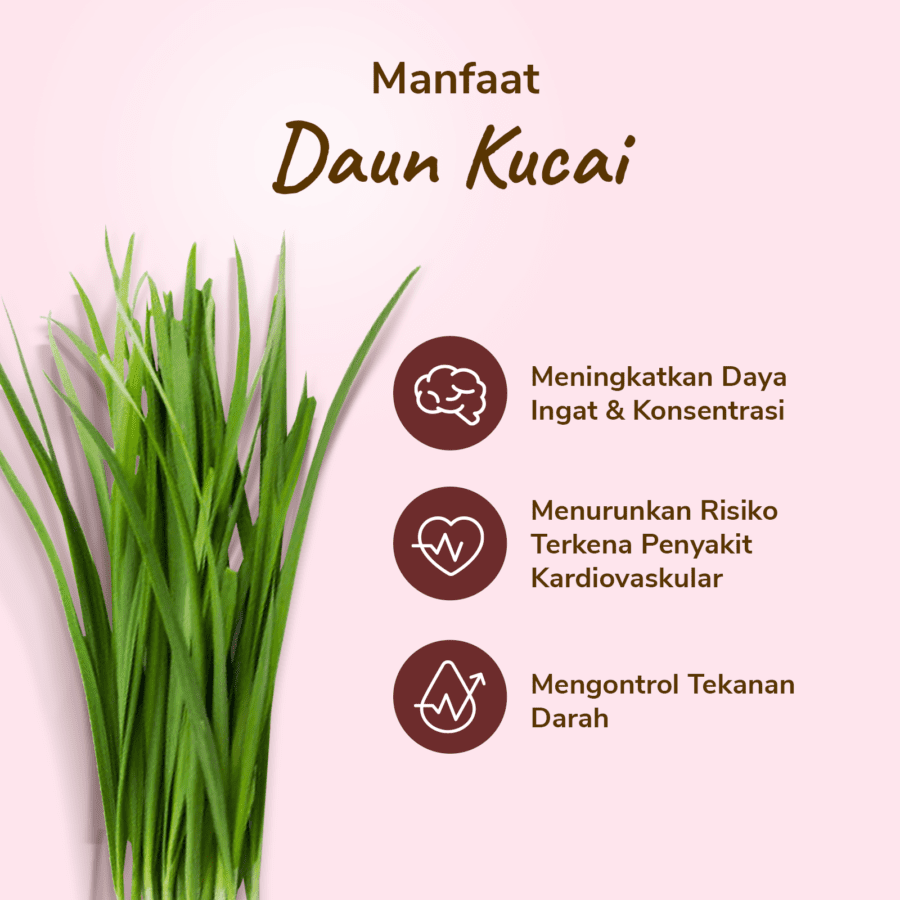 Daun Kucai Astro Farm 100gram