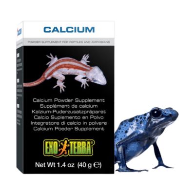 Exoterra Calcium Non D3 Suplemen Reptil dan Amfibi