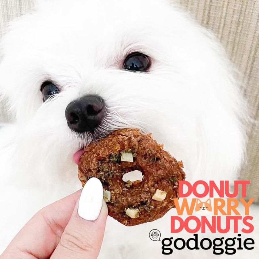 Godoggie Healthy Dog Donuts Beef Snack Anjing 100gram