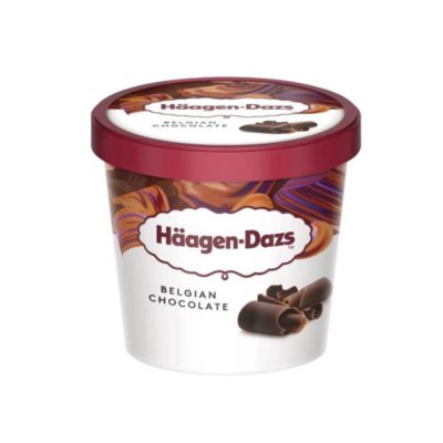 Haagen-Dazs Belgian Ice Cream Chocolate Mini Cup