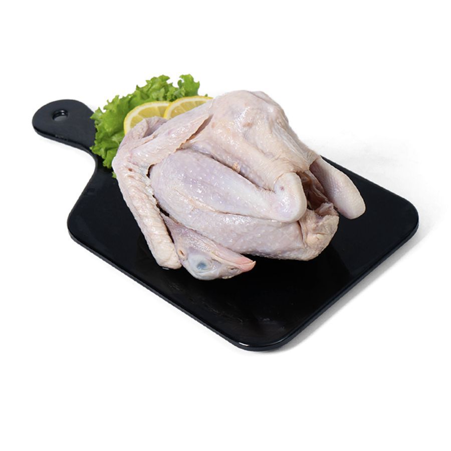 Ayam Kampung Organik Probiotik+Jamu Regular Hona Farm 700-800gram