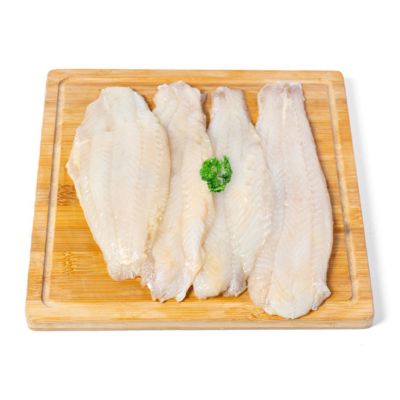 Ikan Dori Ekonomis