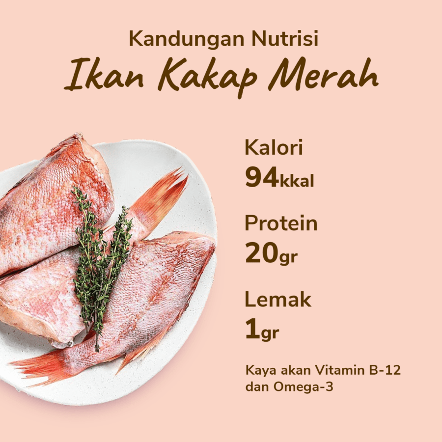 Ikan Kakap Merah Fillet 500gram