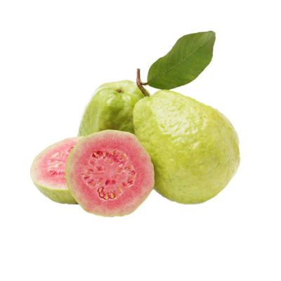Jambu Biji Merah Astro Farm